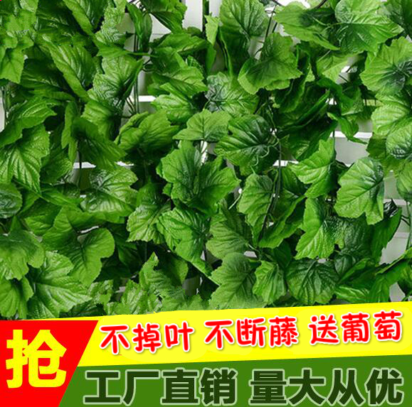 仿真葡萄叶假树叶子仿真藤条塑料假花绿植物壁挂吊顶装饰藤条在类目 家居饰品, 花瓶/花器/仿真花/仿真饰品, 仿真花/假花中 - 来自Buy2taobao.com提供专业的淘宝代购服务