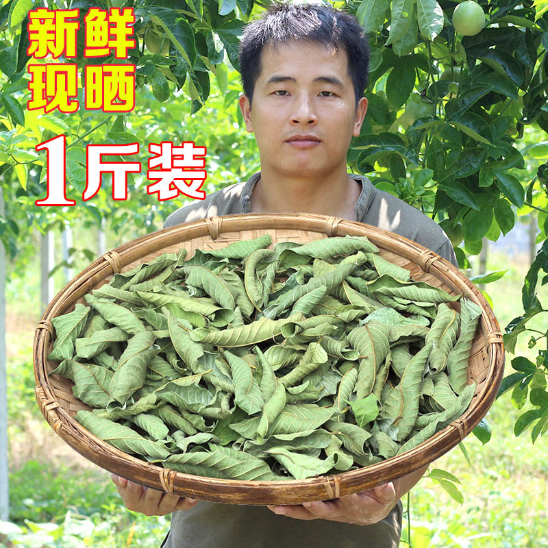 番石榴叶子芭乐叶新鲜现摘晒干番石榴叶茶 野生无糖正品特级|msdalam kategori makanan berkhasiat tradisional, Teh Kesihatan - dari Buy2taobao.com untuk memberikan perkhidmatan ejen Taobao profesional membeli
