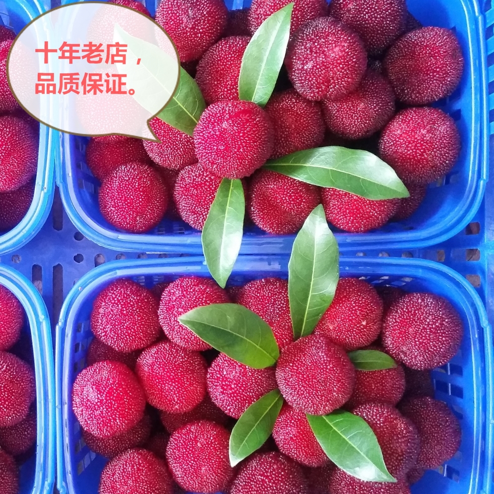 仙居杨梅新鲜水果(高山特+级东魁杨梅)超甜孕妇杨梅7月1号左右在类目 水产肉类/新鲜蔬果/熟食, 新鲜水果, 其它中 - 来自Buy2taobao.com提供专业的淘宝代购服务