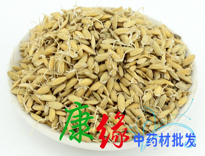 Oryzae Rice stem Grain tiller Rice tiller Chinese herbal medicine shopin the Traditional nourishing food , Other traditional tonic , Other traditional tonic category - from Buy2taobao.com to provide professional Taobao agent buy service