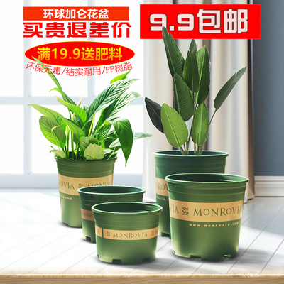 环球加仑树脂塑料花盆栽月季种花盆带托盘园艺绿植种植盆特大花盆
