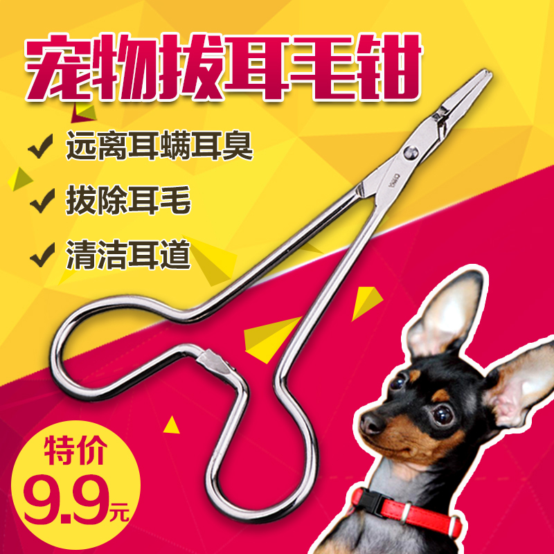 狗狗不锈钢拔毛钳泰迪拔耳毛宠物止血钳猫咪耳朵清洁用品拔耳毛钳在类目 宠物/宠物食品及用品, 猫/狗医疗用品(新), 钳中 - 来自Buy2taobao.com提供专业的淘宝代购服务