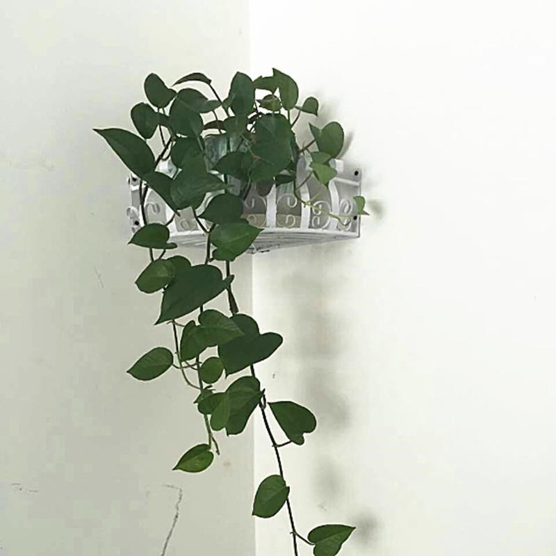 阳台墙壁挂墙置物架花盆客厅墙角放花墙壁家用挂壁铁艺花架室外|ruв категории жилой мебели, рама тип, цветок/несколько - от Buy2taobao.com для оказания профессиональной услуги покупки агента Taobao