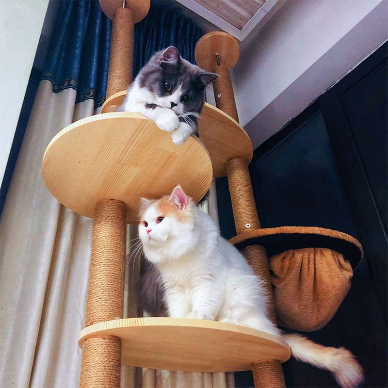 猫爬架通天柱实木磨抓猫树大型猫跳台猫架子猫跳板猫抓树通天柱在类目 宠物/宠物食品及用品, 猫/狗玩具, 猫爬架中 - 来自Buy2taobao.com提供专业的淘宝代购服务