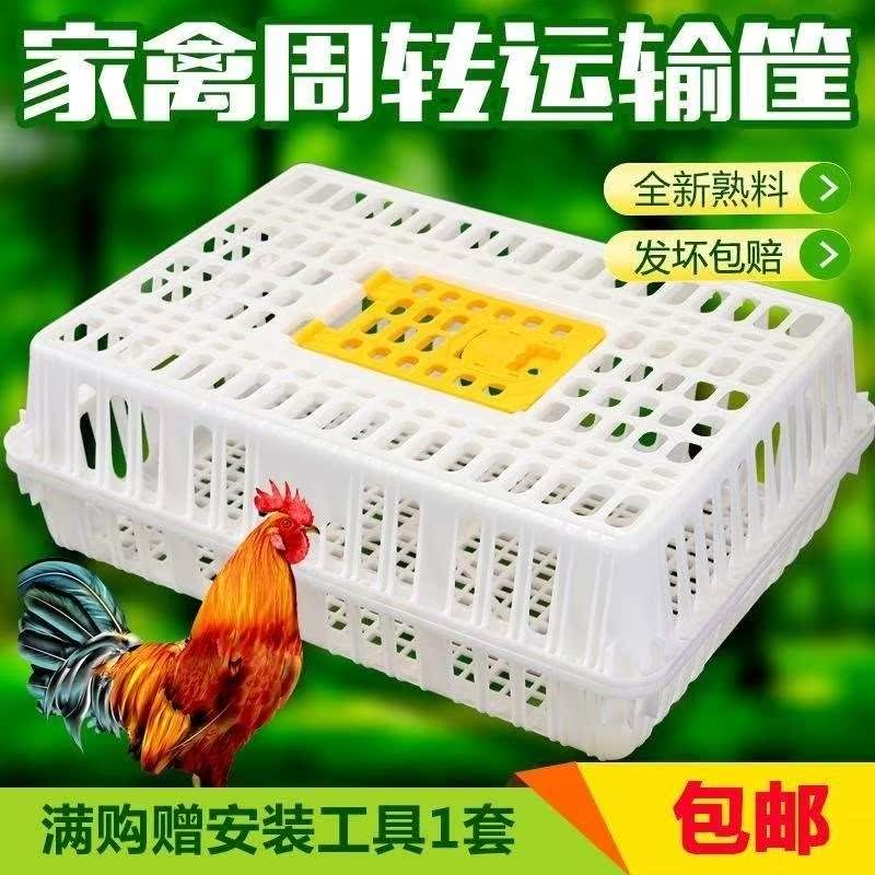 肉雞框朔料裝雞鴨子的籠子鴨籠大號塑料雞籠運輸成雞周轉箱活雞筐在類目 玩具/童車/益智/積木/模型, 電子/發光/充氣/整蠱玩具, 塑料充氣玩具(其他材質勿放)中 - 來自Buy2taobao.com提供專業的淘寶代購服務