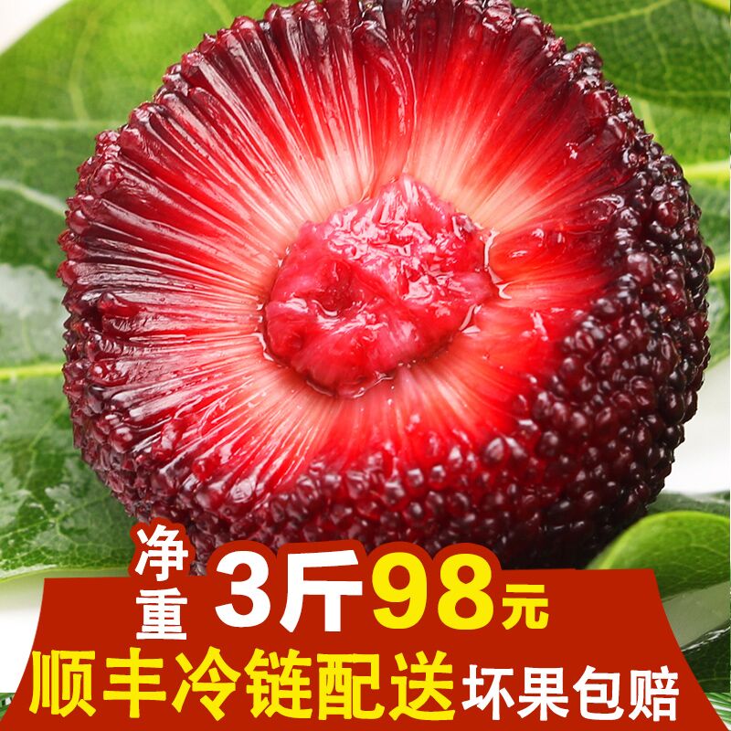 东魁杨梅应季孕妇当季水果包邮新鲜现摘现发3斤礼盒装东魁顺丰在类目 水产肉类/新鲜蔬果/熟食, 新鲜水果, 其它中 - 来自Buy2taobao.com提供专业的淘宝代购服务