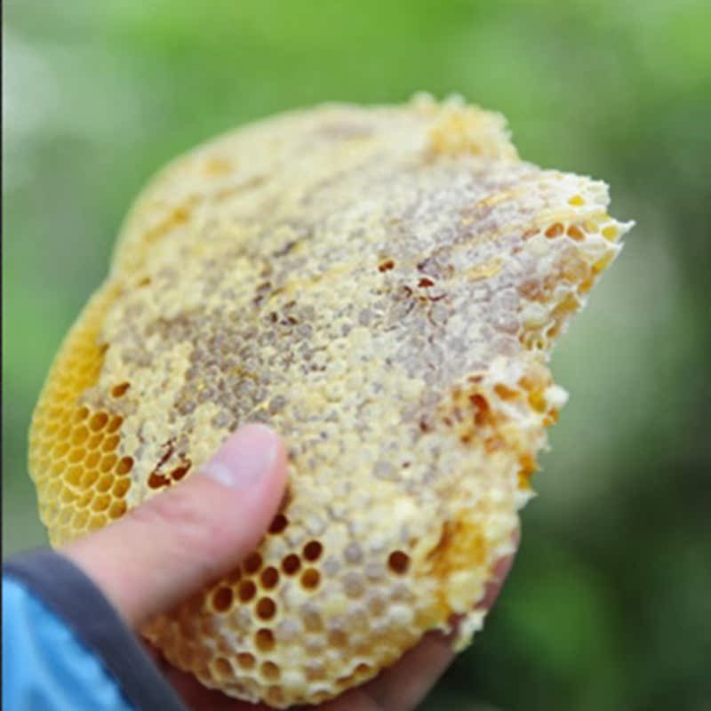 wild Soil honey Mountains wild Hive honey Bee natural Brewing Unmanned intervene Honey comb collocationin the Traditional nourishing food , Honey category - from Buy2taobao.com to provide professional Taobao agent buy service