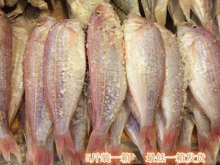 Yangjiang characteristic Night Waterjet Salted fish Night Salted fish Golden Salted Fish Salted fish 5 poundsin the Aquatic meat/Fresh fruits and vegetables/Cooked , Seafood/Aquatic/Product , Fish products , Dried fish category - from Buy2taobao.com to provide professional Taobao agent buy service