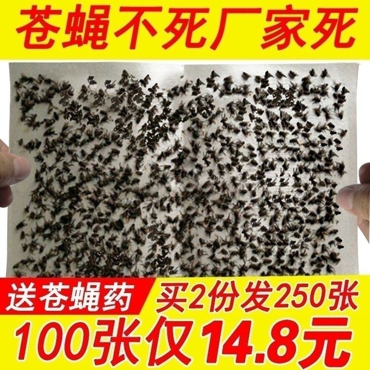 實蠅紙板膠紙捕蟲器蟑螂粘蠅板蚊子貼粘蠅紙蠅子蒼蠅藥強力蒼蠅貼在類目 居家日用, 驅蟲用品, 粘蠅紙中 - 來自Buy2taobao.com提供專業的淘寶代購服務
