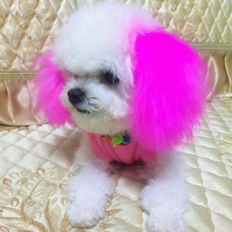 Pet dog Bichon Colorings Teddy colour Hiromi Kitty Hair cream brown gulesin the Pet/Pet food and supplies , Cat/Dog grooming cleaning supplies , Beauty Scissors category - from Buy2taobao.com to provide professional Taobao agent buy service