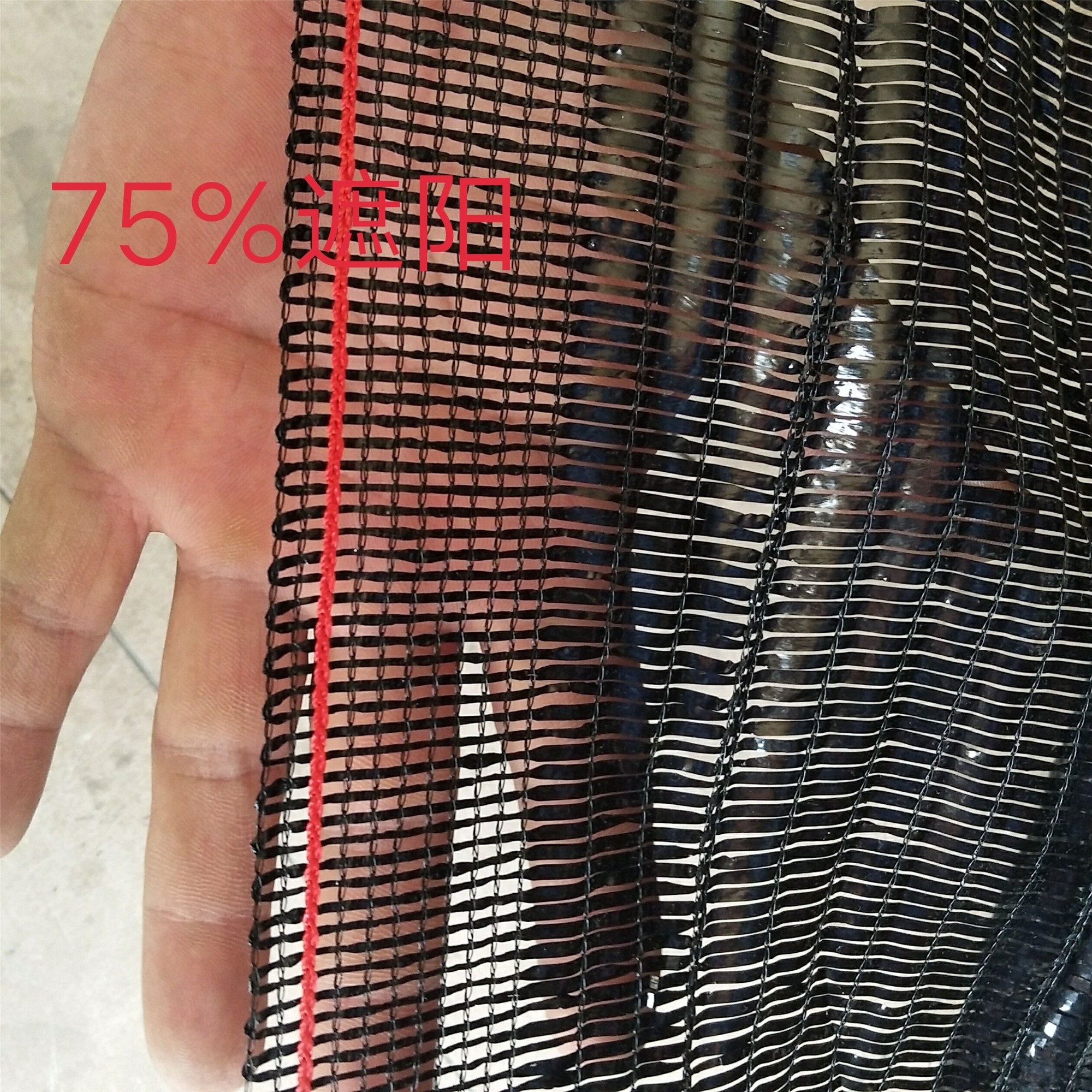 Japan greenhouse Roof Shading Mesh cloth encryption thickening Shade net 8 ageing Plain weave blackin the Flower delivery/Flowers simulation/Plants gardening , Gardening supplies , Other Garden Supplies category - from Buy2taobao.com to provide professional Taobao agent buy service