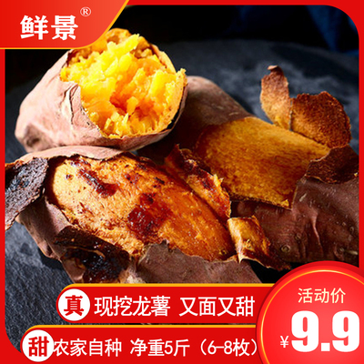 现挖新鲜龙薯红薯5斤净重 新鲜地瓜农家板栗番蜜薯蔬菜包邮