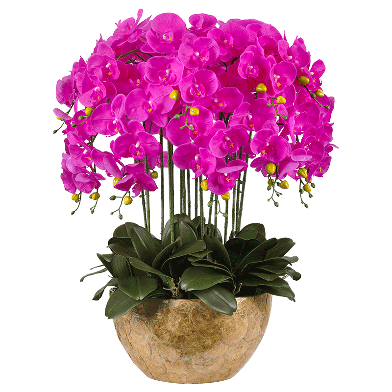 蝴蝶兰仿真花假花客厅摆设装饰花套装玄关超大玻璃钢花瓶盆栽摆件|msdalam kategori Aksesori rumah, pasu/bunga/bunga tiruan/perhiasan imitasi, bunga tiruan/bunga tiruan - dari Buy2taobao.com untuk memberikan perkhidmatan ejen Taobao profesional membeli