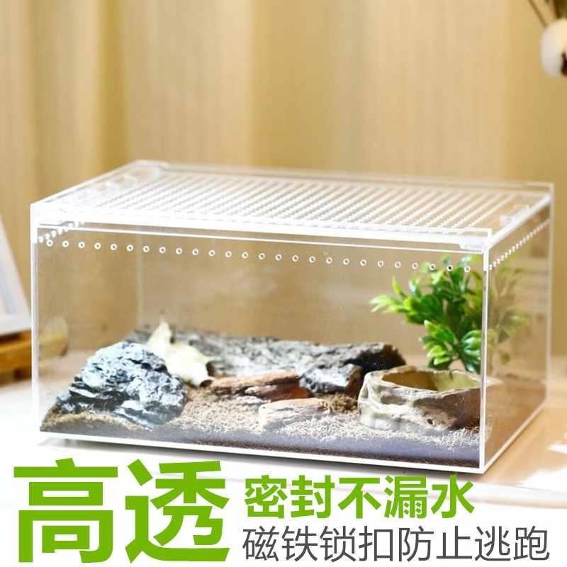Acrylic Reptile Feeding Box Horned Frogs Spider Scorpion Beetle Mantis Cricketin the Pet/Pet food and supplies , Reptile/Insects and supplies Ming , Reptile/Insect appliances Ming category - from Buy2taobao.com to provide professional Taobao agent buy service