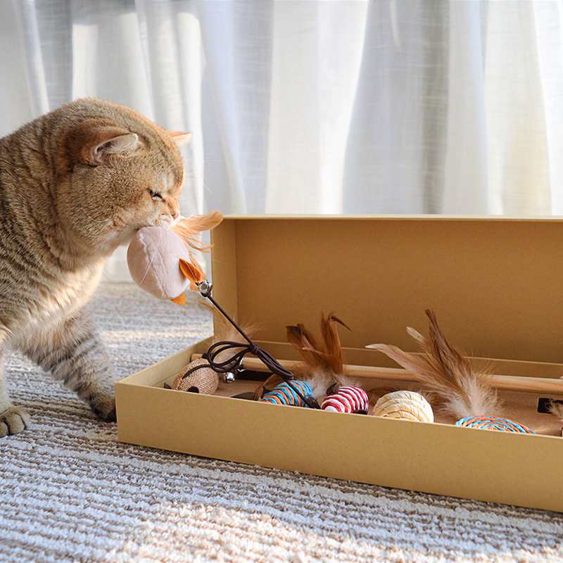 Geometry Kitty Remote control Cat stick 7 Package a complete set Kitty Toys Master Gift boxin the Pet/Pet food and supplies , Cat/Dog Toys , Funny cat stick category - from Buy2taobao.com to provide professional Taobao agent buy service