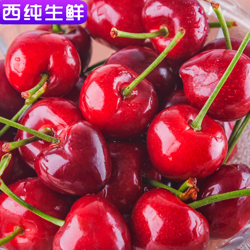 【现货】西纯 新鲜山东烟台大樱桃2斤现摘水果 国产美早顺丰包邮在类目 水产肉类/新鲜蔬果/熟食, 新鲜水果, 车厘子/樱桃中 - 来自Buy2taobao.com提供专业的淘宝代购服务