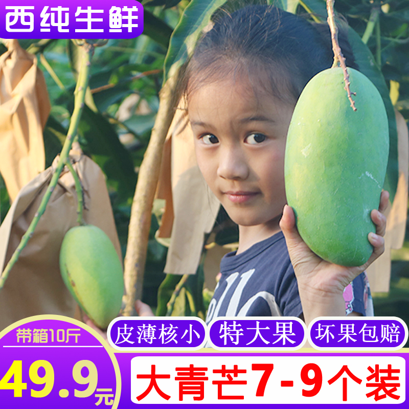 抢!】广西大青芒 新鲜特大芒果箱10斤 当季时令水果一箱净重9斤在类目 水产肉类/新鲜蔬果/熟食, 新鲜水果, 芒果中 - 来自Buy2taobao.com提供专业的淘宝代购服务