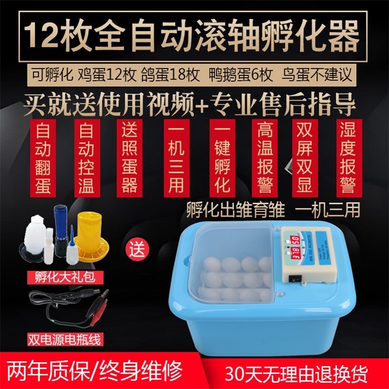 全自动孵化机小型孵化器鸡孵化箱家用孵卵器孵蛋器智能孵化设备在类目 五金/工具, 仪器仪表, 电热工具中 - 来自Buy2taobao.com提供专业的淘宝代购服务
