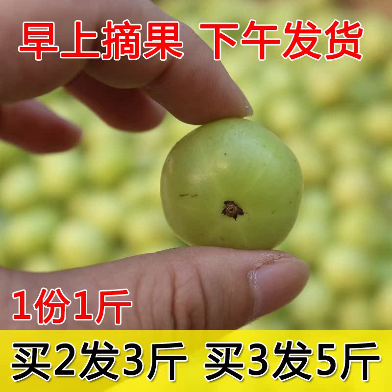 1斤新鲜甜种油甘果青橄榄孕妇酸水果牛甘果余甘子油柑子余甘果|ruв категории водной мясо/свежие фрукты и овощи/еда, свежие фрукты, другие - от Buy2taobao.com для оказания профессиональной услуги покупки агента Taobao