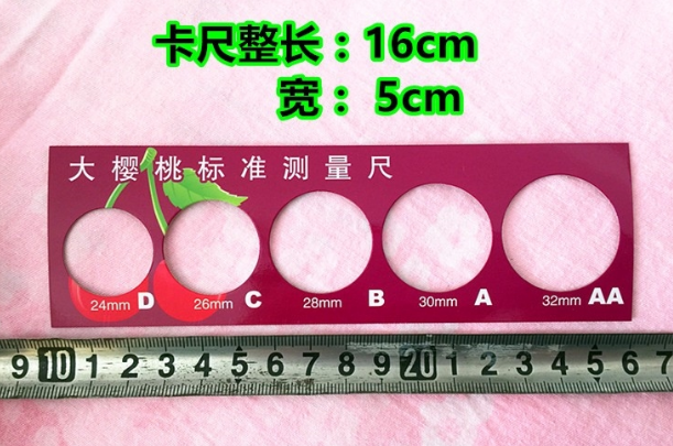 樱桃量尺尺寸卡尺量板量樱桃尺车厘子标准大小测量尺水果分级鲜果在类目 五金/工具, 手动工具, 测量工具, 其它测量工具中 - 来自Buy2taobao.com提供专业的淘宝代购服务
