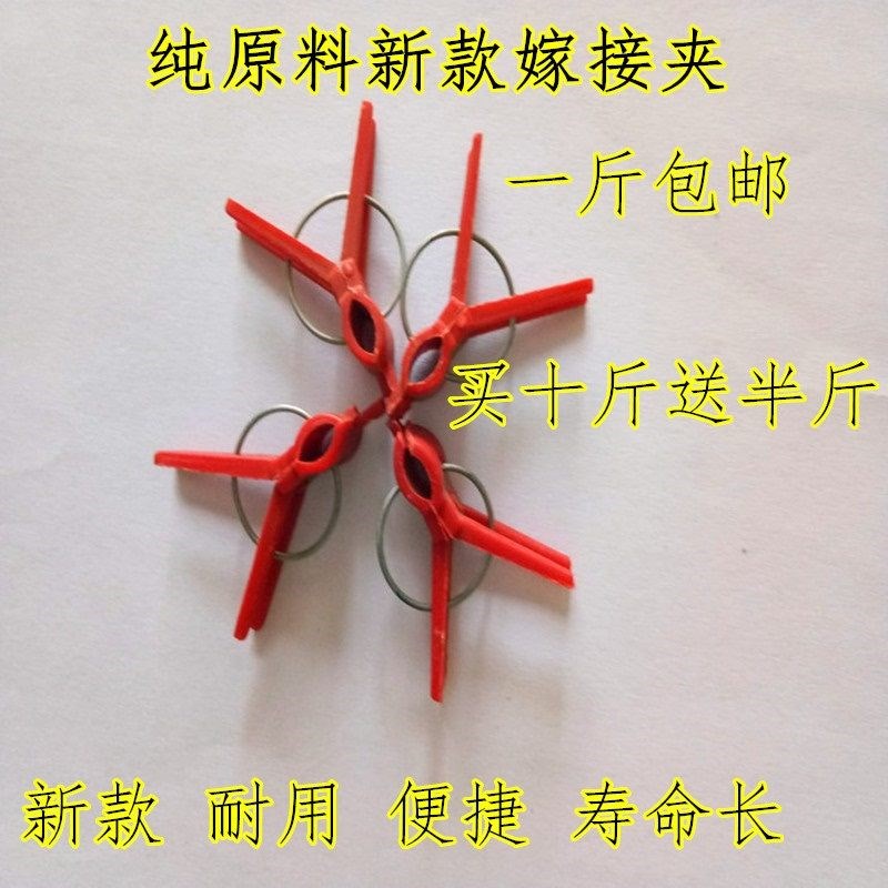 Yamo Clamp greenhouse Clamp Agriculture Bracket Clip cucumber Hoop gardeningin the Flower delivery/Flowers simulation/Plants gardening , Gardening supplies , Other Garden Supplies category - from Buy2taobao.com to provide professional Taobao agent buy service