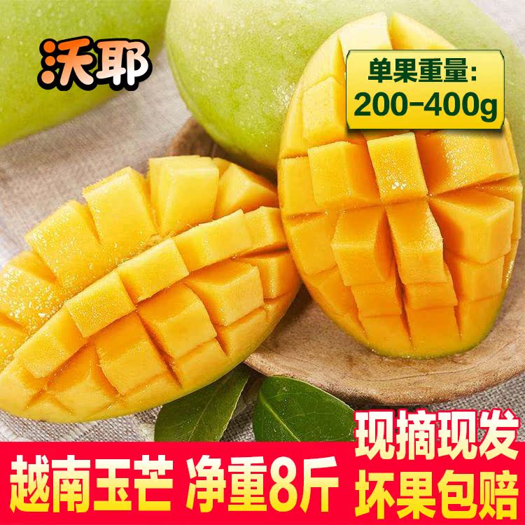 芒果越南玉芒 大青芒果凯特芒甜心香芒果进口新鲜水果应季8斤包邮在类目 水产肉类/新鲜蔬果/熟食, 新鲜水果, 芒果中 - 来自Buy2taobao.com提供专业的淘宝代购服务