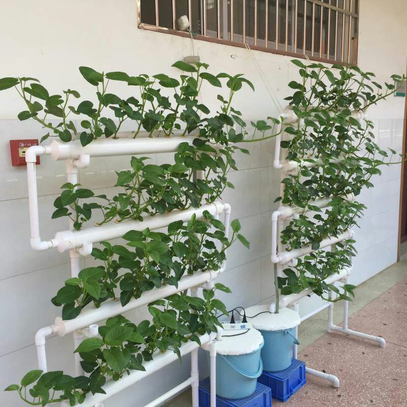 Vegetables equipment family greenhouse Corridor Vegetables balcony Hydroponics Sprouts plant Shelfin the Flower delivery/Flowers simulation/Plants gardening , Gardening supplies , Other Garden Supplies category - from Buy2taobao.com to provide professional Taobao agent buy service