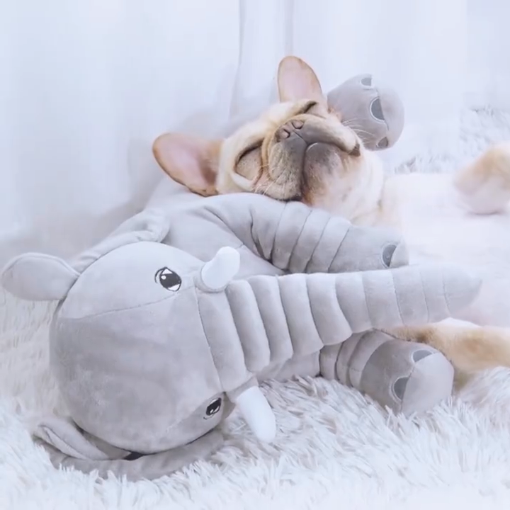 Puppies Puppy Vent Supplies Dogs Toys Plush Teddy Golden Retriever Big Dog Pets Toys Molarin the Pet/Pet food and supplies , Cat/Dog Toys , Sound toys category - from Buy2taobao.com to provide professional Taobao agent buy service