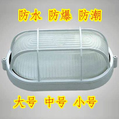 防潮灯椭圆圆形带网防水防潮防爆灯罩浴室灯桑拿房厨房灯专业防水|ruв категории награду материалов, огни освещения, другие огни освещения - от Buy2taobao.com для оказания профессиональной услуги покупки агента Taobao