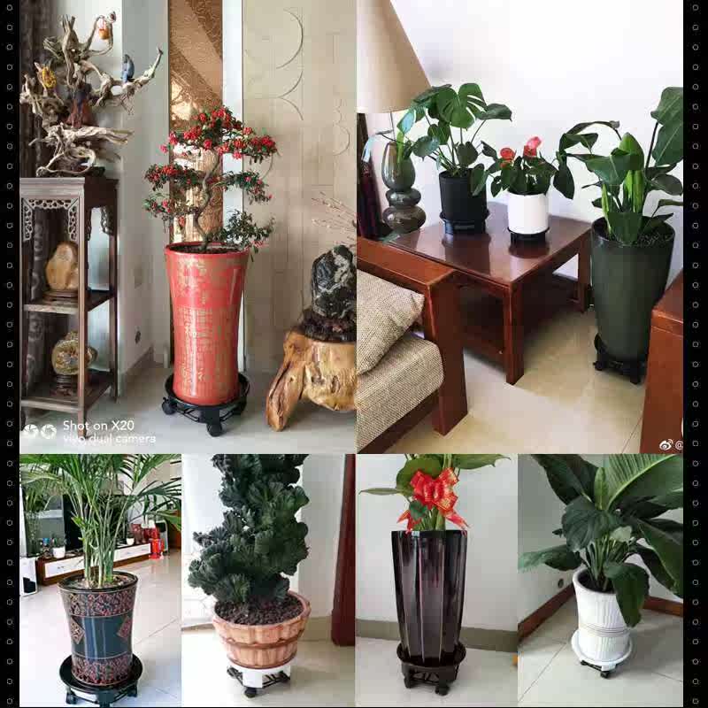 万向轮可移动花盆托盘带滚轮花盆底座圆托盘塑料花盆垫花盘接水盘|msdalam kategori penghantaran bunga/bunga simulasi/tumbuhan berkebun, Gardening Supplies, torus/dulang mudah alih - dari Buy2taobao.com untuk memberikan perkhidmatan ejen Taobao profesional membeli