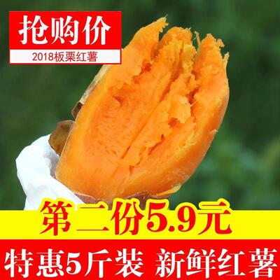 新鲜蜜薯5斤带箱农家香甜薯板栗地瓜糖心小番薯山芋紫箱包装红薯