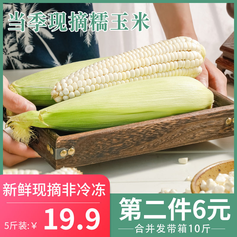 现摘甜糯白玉米5斤装两件10斤新鲜应季白粘玉米棒非转基因甜水果在类目 水产肉类/新鲜蔬果/熟食, 新鲜蔬菜/蔬菜制品, 新鲜蔬菜, 新鲜玉米中 - 来自Buy2taobao.com提供专业的淘宝代购服务