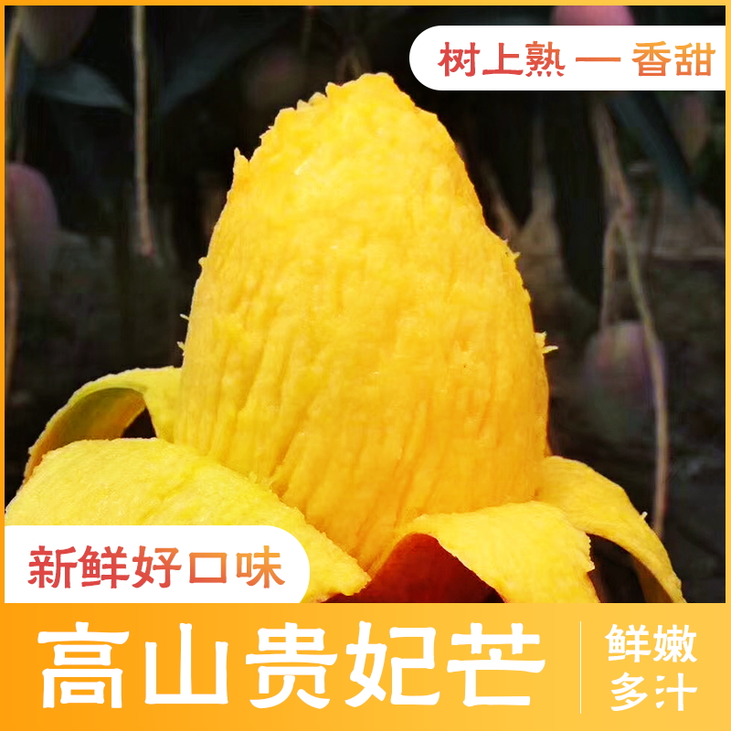 海南三亞樹上熟新鮮現摘貴妃芒9斤裝紅金龍非台芒青芒買5斤送4斤在類目 水產肉類/新鮮蔬果/熟食, 新鮮水果, 芒果中 - 來自Buy2taobao.com提供專業的淘寶代購服務
