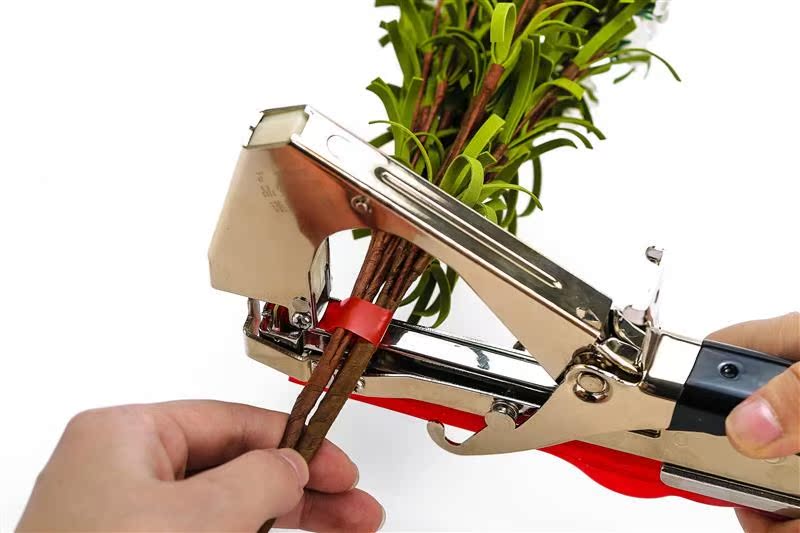 Seedlings agricultural machinery Supplies Fruit tree Vine greenhouse Use Vine Tomatoes Vine grapein the Flower delivery/Flowers simulation/Plants gardening , Gardening supplies , Other Garden Supplies category - from Buy2taobao.com to provide professional Taobao agent buy service
