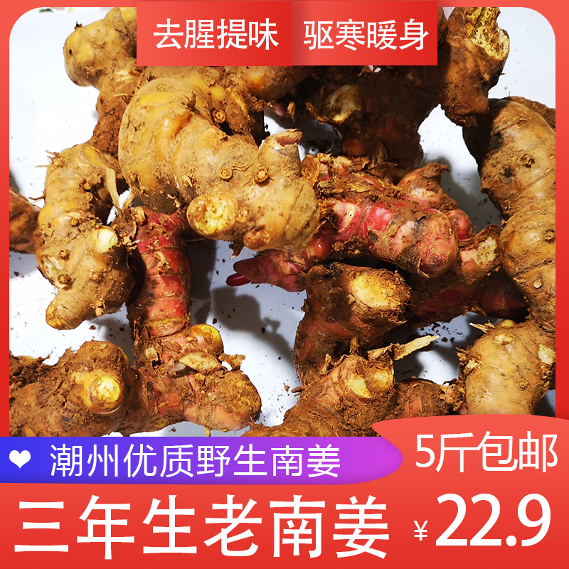 Yingshan Village is currently excavating 5 Three years Galangal fresh ginger Ginger Chaozhou Chaozhou Blue ginger Foodstuffin the Aquatic meat/Fresh fruits and vegetables/Cooked , Fresh vegetables/Vegetable products , Ginger category - from Buy2taobao.com to provide professional Taobao agent buy service