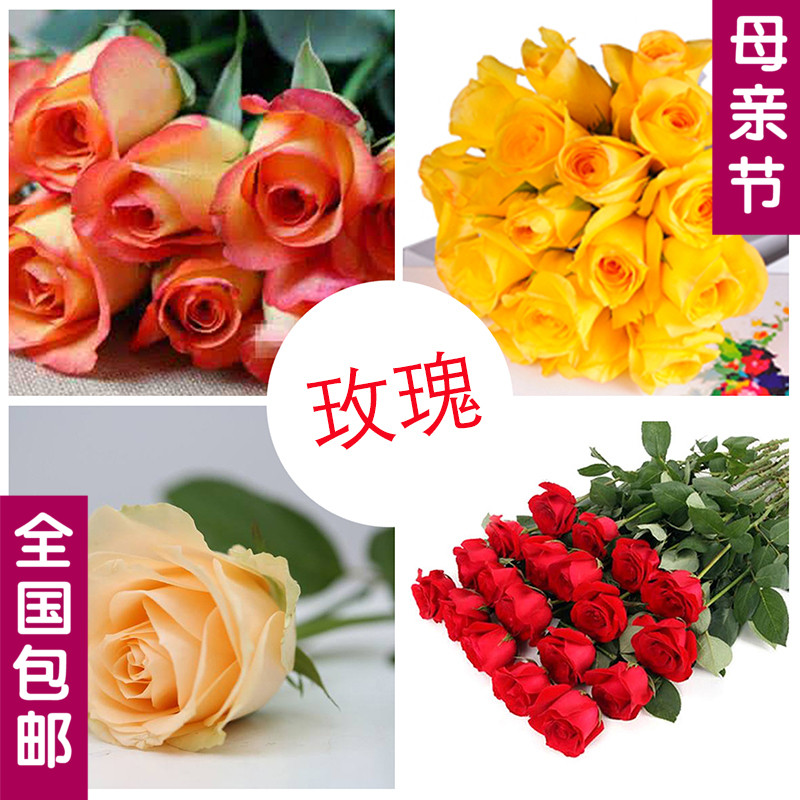 粉红玫瑰鲜花花束一扎20支包邮云南昆明基地直发家用水养婚庆插花|msdalam kategori penghantaran bunga/bunga simulasi/tumbuhan berkebun, penghantaran bunga (bandar) - dari Buy2taobao.com untuk memberikan perkhidmatan ejen Taobao profesional membeli