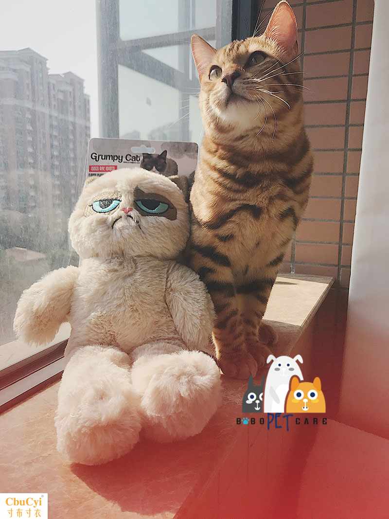 Britain Accurate Pets Kitty Dogs Kitty Accompany Toys Sound toysin the Pet/Pet food and supplies , Cat/Dog Toys , Sound toys category - from Buy2taobao.com to provide professional Taobao agent buy service