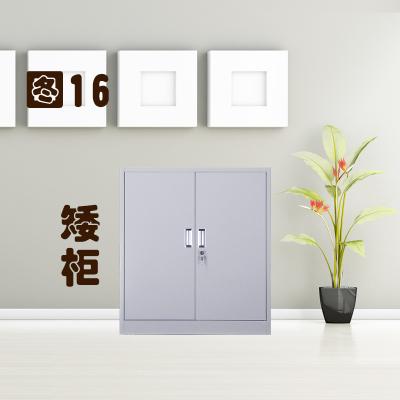 文件柜储物柜铁澡堂柜子资料柜档案柜更衣柜员工玻璃多格澡堂在类目 商业/办公家具, 办公家具, 办公柜类, 文件柜中 - 来自Buy2taobao.com提供专业的淘宝代购服务