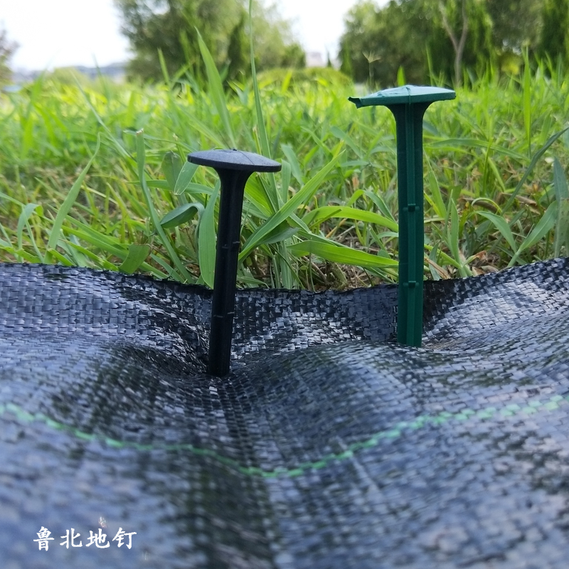 黑色园艺地布钉固定地布钉防草布绿色防草布地钉大棚塑料地钉厂家在类目 鲜花速递/花卉仿真/绿植园艺, 园艺用品, 其它园艺用品中 - 来自Buy2taobao.com提供专业的淘宝代购服务