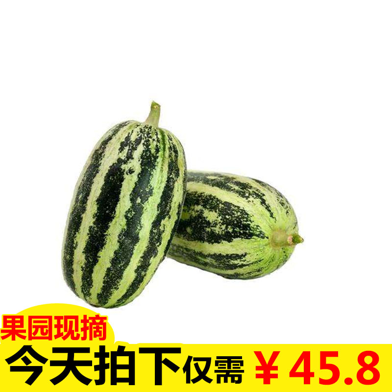 博洋9号甜瓜新鲜当季水果羊角蜜香瓜山东脆甜密瓜应季5斤装包邮在类目 水产肉类/新鲜蔬果/熟食, 新鲜水果, 其它中 - 来自Buy2taobao.com提供专业的淘宝代购服务
