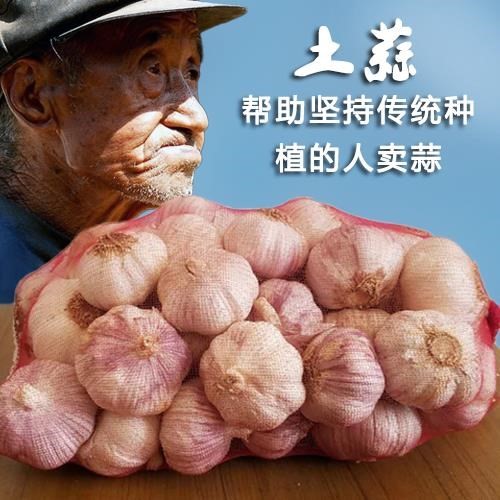 坏果大蒜!10斤大蒜头富硒干包赔紫白皮自种农家河南蒜头大祘|msdalam kategori daging perikanan/Buah-buahan segar dan sayur-sayuran/dimasak, sayur-sayuran segar/Vegetable Products, bawang putih - dari Buy2taobao.com untuk memberikan perkhidmatan ejen Taobao profesional membeli