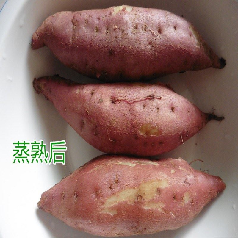 18年9月现挖新鲜红皮白心红薯农家自种甜面粉糯烤番薯地瓜山芋8斤|ruв категории водной мясо/свежие фрукты и овощи/еда, свежие овощи/овощной продукции, свежие овощи, сладкий картофель - от Buy2taobao.com для оказания профессиональной услуги покупки агента Taobao