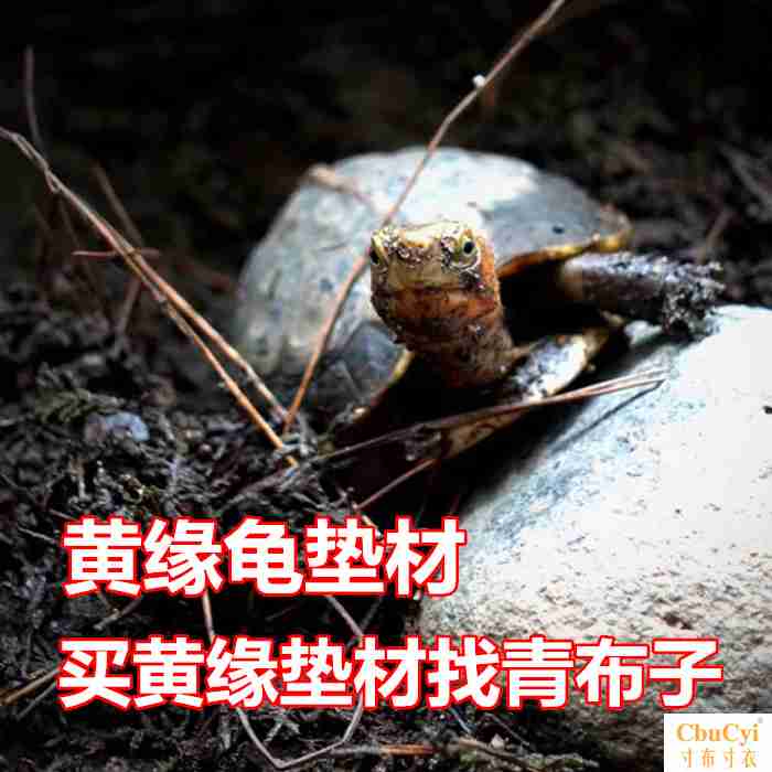 缘友之家 黄缘专用土 黄缘龟出眠垫材 安缘台缘龟半水龟天然垫材|ruв категории животное/Животное питание и принадлежностей, аквариум мира, черепаха/черепаха - от Buy2taobao.com для оказания профессиональной услуги покупки агента Taobao