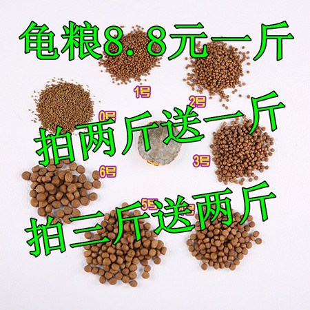 Turtle Food Red-eared Tortoise Snapping Turtle Tortoise feed Dried shrimp Medium and small grain Young turtle Time limit A Jinin the Pet/Pet food and supplies , Aqua World , Turtle Watch/Turtle feed category - from Buy2taobao.com to provide professional Taobao agent buy service