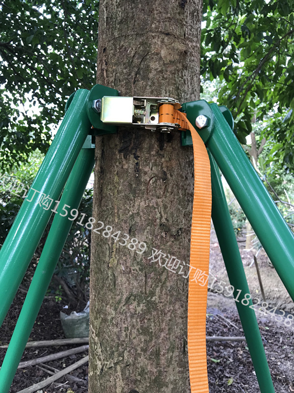 器市政工程园林绿化支撑架 紧带式树木固自产自销镀锌钢管树木|ruв категории доставка цветов/цветок моделирования/растения садоводства, садовых принадлежностей, других садовых принадлежностей - от Buy2taobao.com для оказания профессиональной услуги покупки агента Taobao