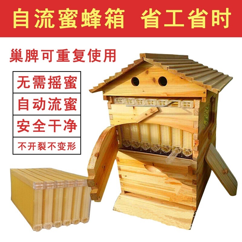 自流蜜蜂箱 自动取蜜金圣宫煮蜡杉木2中蜂塑料流蜜础脾蜜套 自流|ruв категории животноводства/аквакультура материалов, животноводства/оборудование для разведения, животноводства/аквакультура оборудования - от Buy2taobao.com для оказания профессиональной услуги покупки агента Taobao