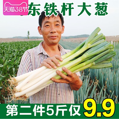 山东大葱5斤铁杆大葱新鲜长葱蔬菜农产品煎饼卷葱去叶葱白10