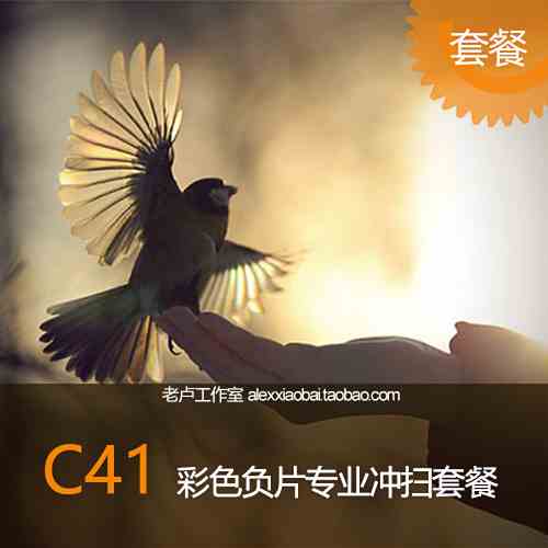 135/120 C41彩色负片吊挂扫描套餐 35元吊挂冲洗底扫 胶卷冲扫在类目 个性定制/设计服务/DIY, 照片冲印中 - 来自Buy2taobao.com提供专业的淘宝代购服务