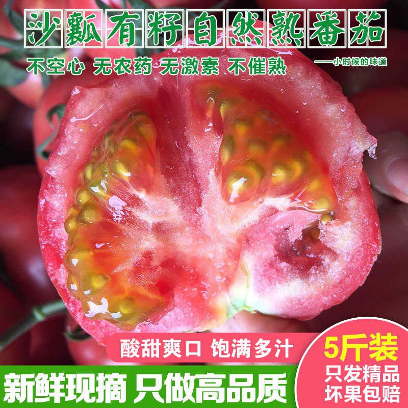 农家自种西红柿新鲜生吃自然熟10大粉山东非有机沙瓤水果番茄5斤|ruв категории водной мясо/свежие фрукты и овощи/еда, свежие овощи/овощной продукции, свежие овощи, помидор - от Buy2taobao.com для оказания профессиональной услуги покупки агента Taobao