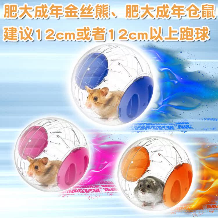 仓鼠跑球用品滚球透明球金丝熊水晶跑步小玩具跑道球跑轮支架运动|ruв категории животное/Животное питание и принадлежностей, хомяк класса и других малых животное, небольшой питомца принадлежностей (новая), другие - от Buy2taobao.com для оказания профессиональной услуги покупки агента Taobao